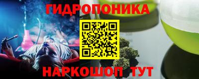 спиды Дубна