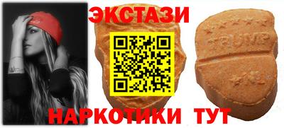 спиды Дубна