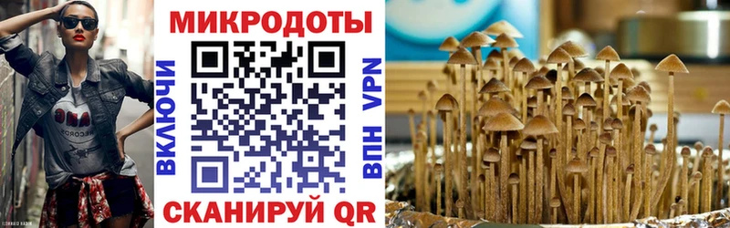 Галлюциногенные грибы Magic Shrooms  что такое наркотик  Киров 