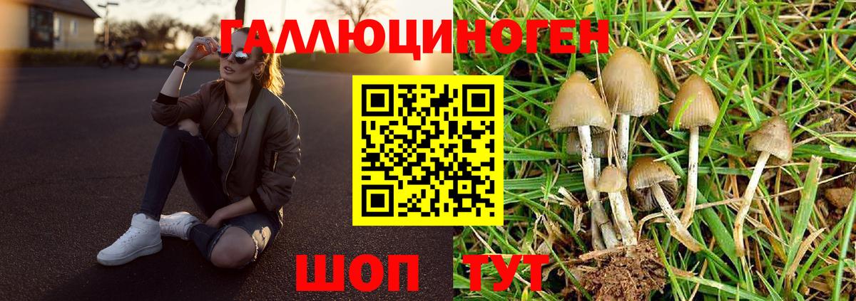 Галлюциногенные грибы GOLDEN TEACHER  Галлюциногенные грибы Magic Shrooms  Вход с VPN  Киров 